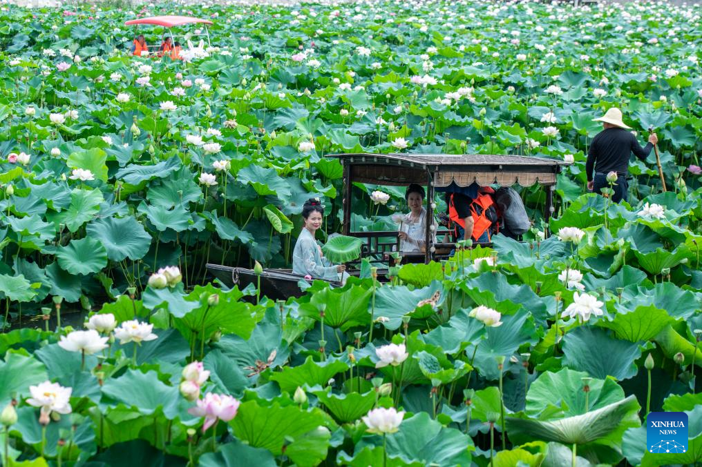 Heatwaves during summer vacation boost cooling economy across China