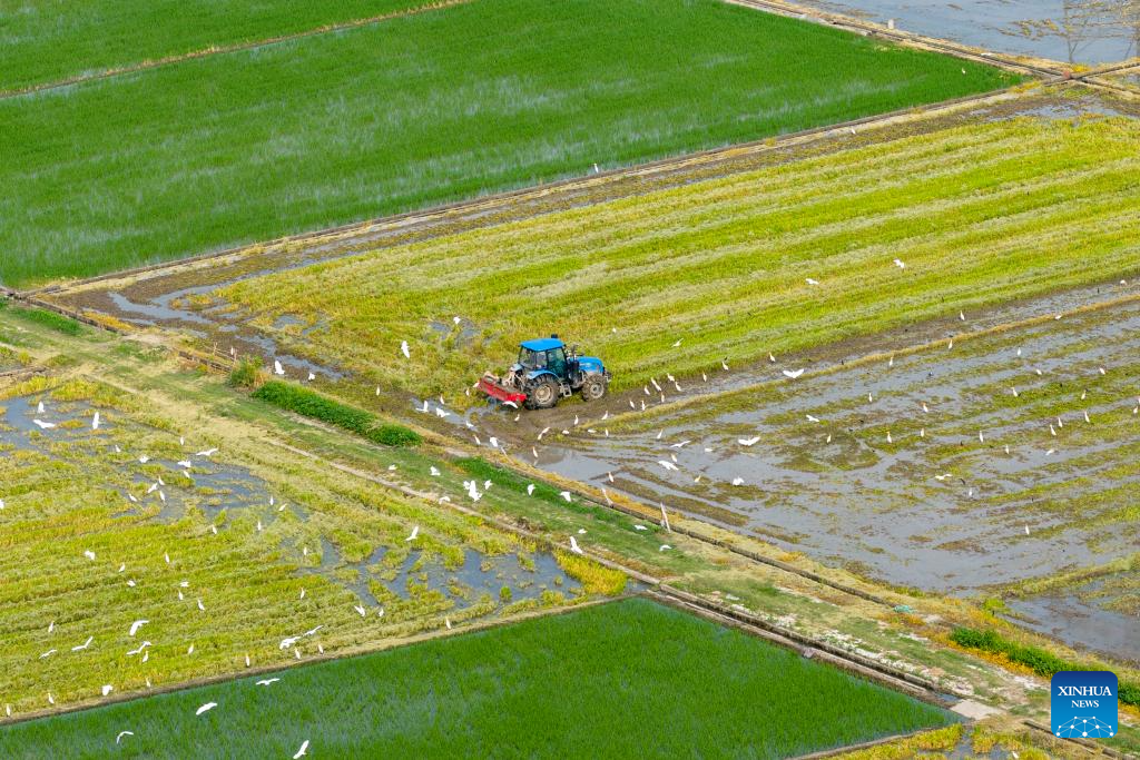 Chinese villagers busy with farm work
