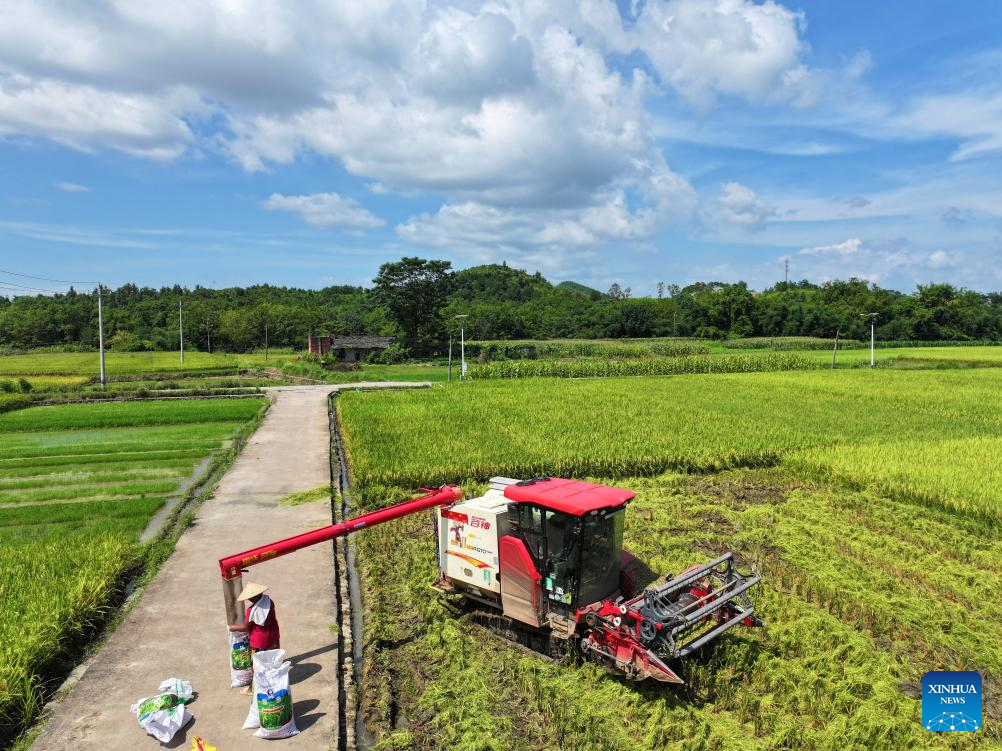 Chinese villagers busy with farm work