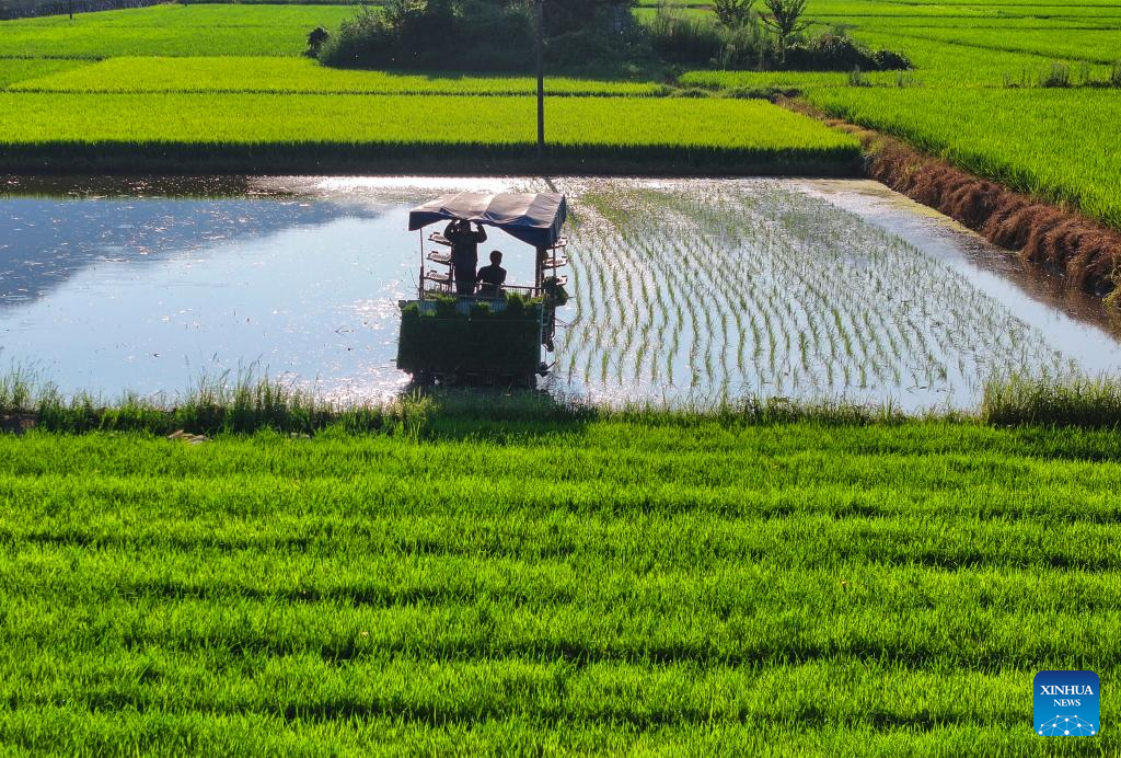 Chinese villagers busy with farm work