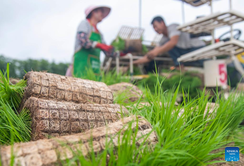 Chinese villagers busy with farm work