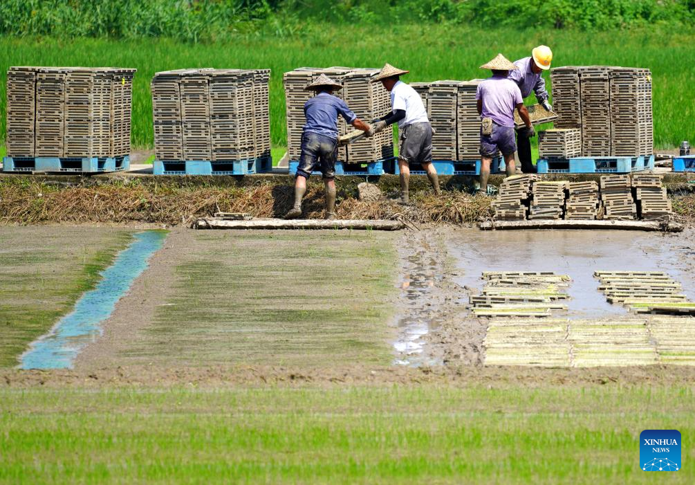 Chinese villagers busy with farm work