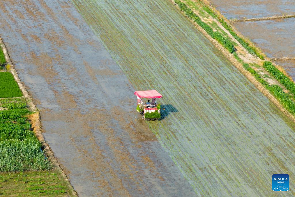 Chinese villagers busy with farm work