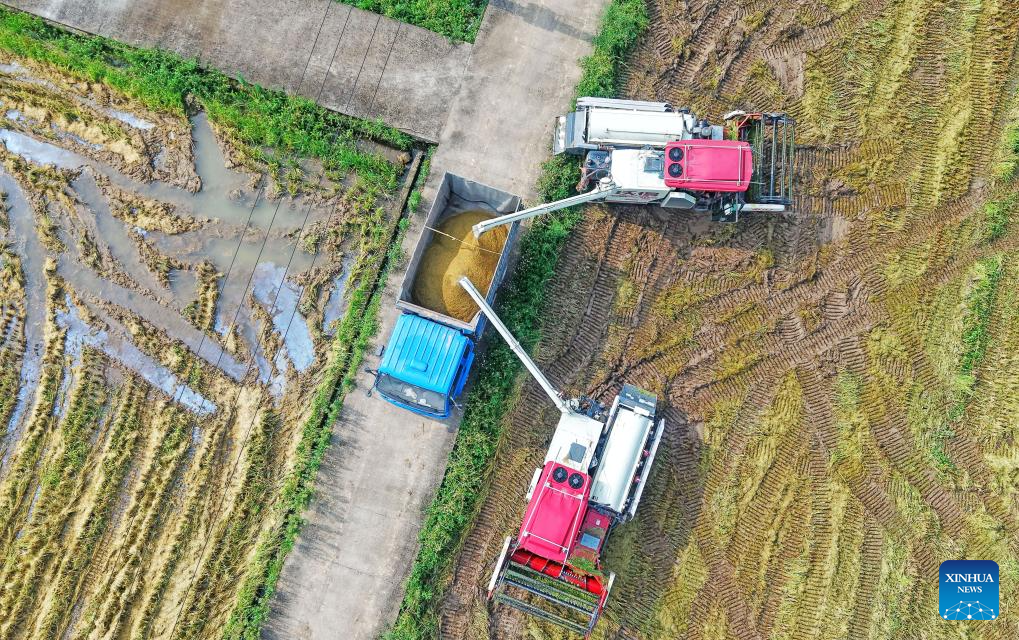 Chinese villagers busy with farm work