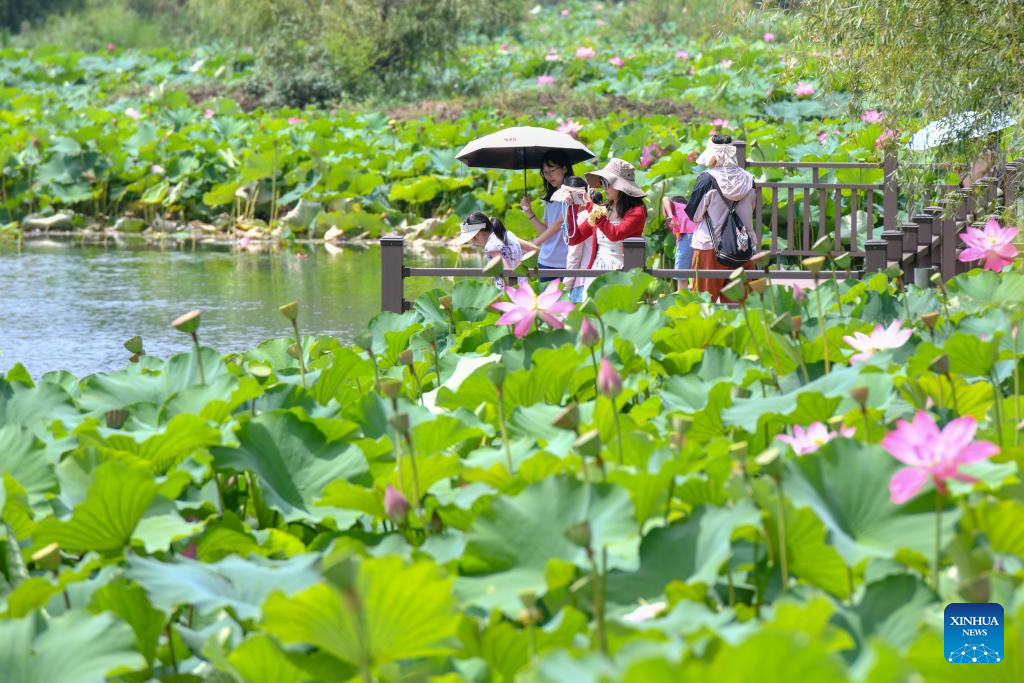 Summer tourism booms in Yunnan's scenic areas