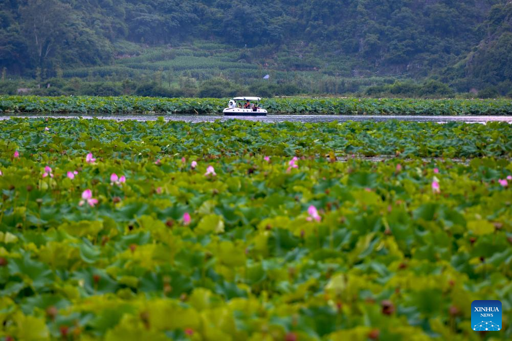 Summer tourism booms in Yunnan's scenic areas