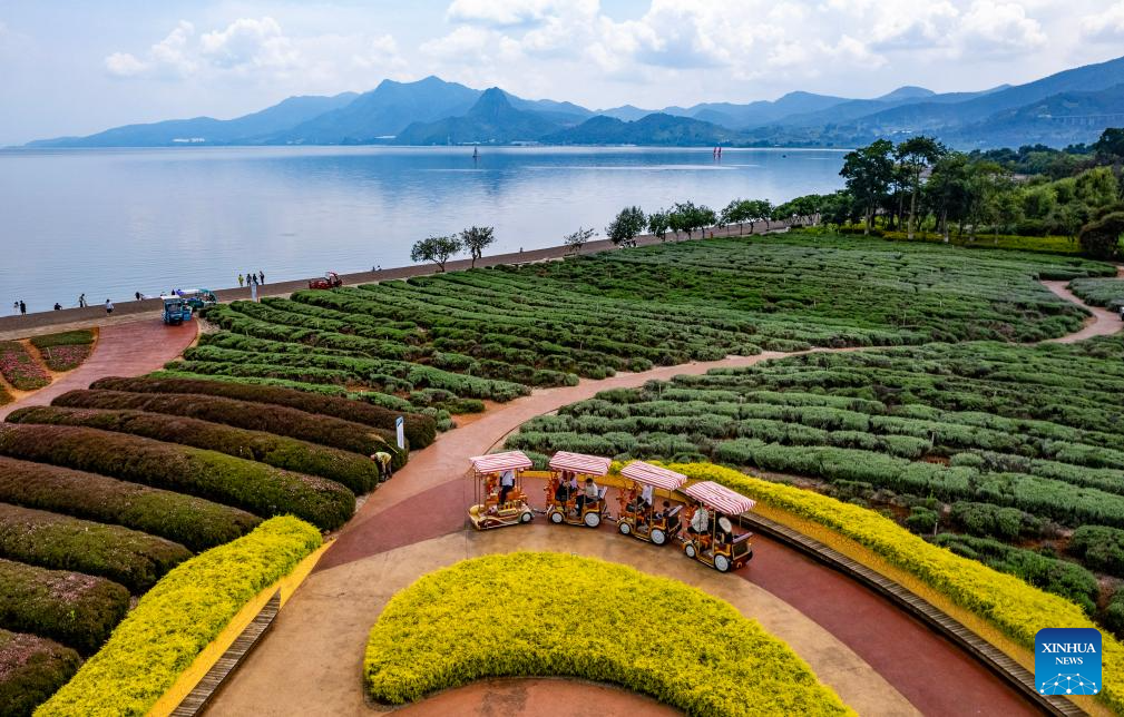 Summer tourism booms in Yunnan's scenic areas