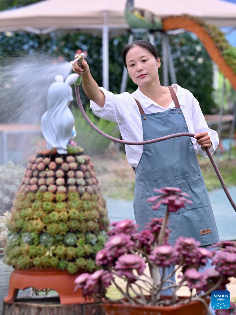 Pic story: Succulent enthusiast cultivates new path to prosperity in SE China's Fujian