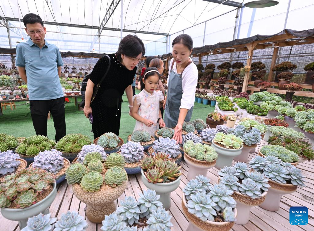 Pic story: Succulent enthusiast cultivates new path to prosperity in SE China's Fujian