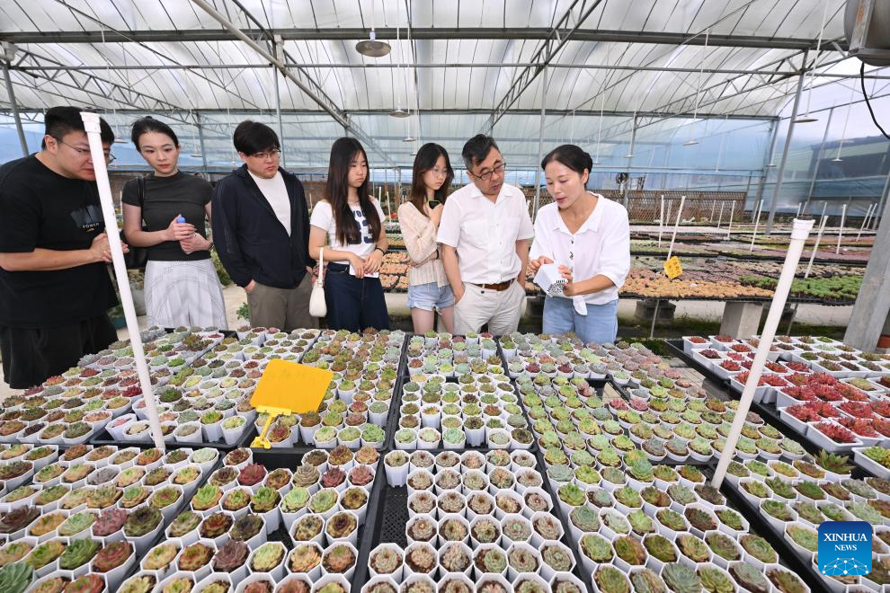 Pic story: Succulent enthusiast cultivates new path to prosperity in SE China's Fujian