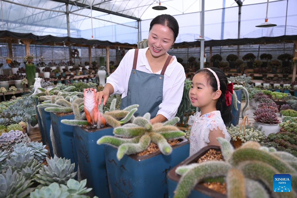 Pic story: Succulent enthusiast cultivates new path to prosperity in SE China's Fujian