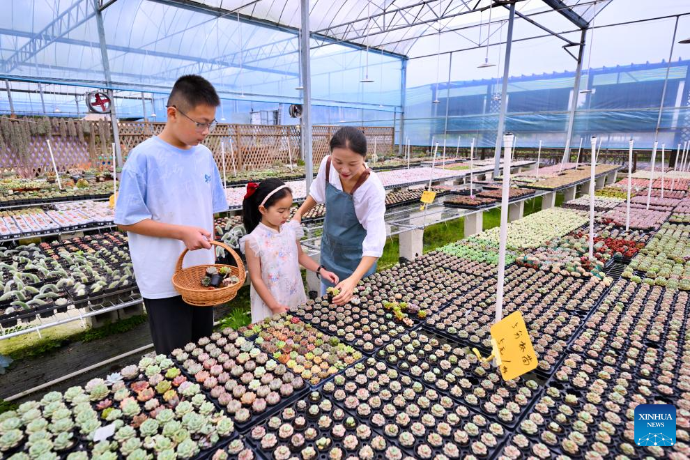 Pic story: Succulent enthusiast cultivates new path to prosperity in SE China's Fujian