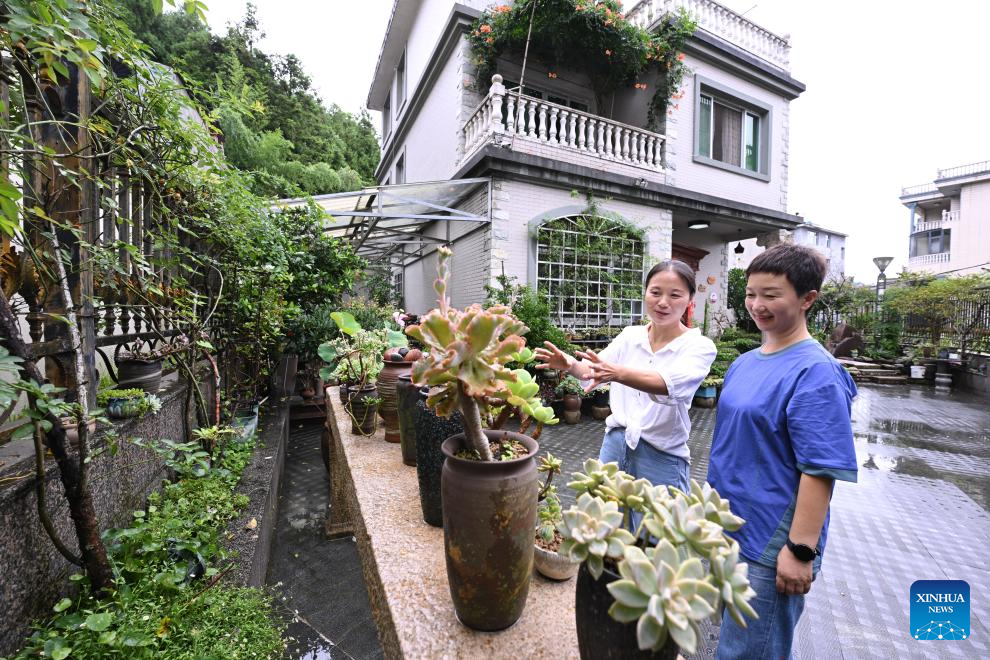 Pic story: Succulent enthusiast cultivates new path to prosperity in SE China's Fujian