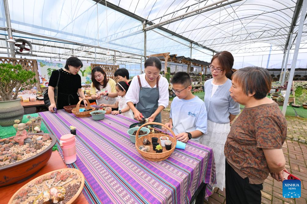 Pic story: Succulent enthusiast cultivates new path to prosperity in SE China's Fujian