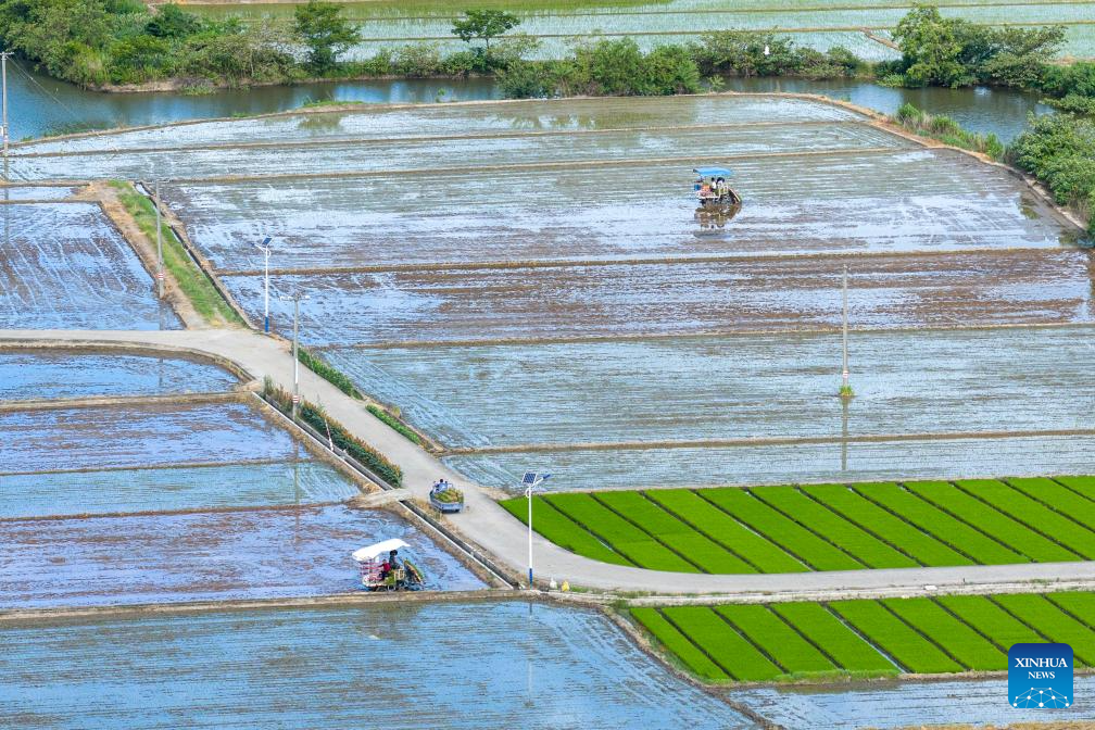 Farmers across China busy with agricultural production in farming season around Dashu