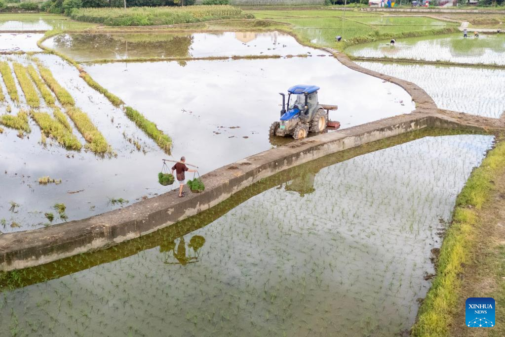 Farmers across China busy with agricultural production in farming season around Dashu