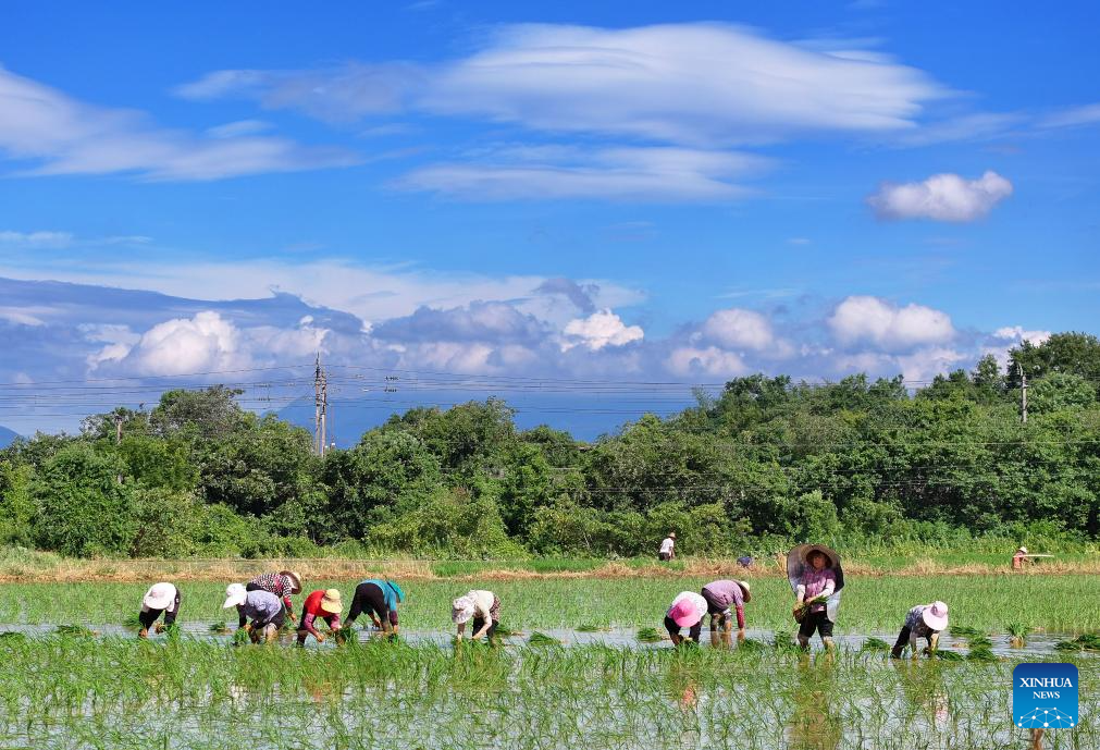 Farmers across China busy with agricultural production in farming season around Dashu