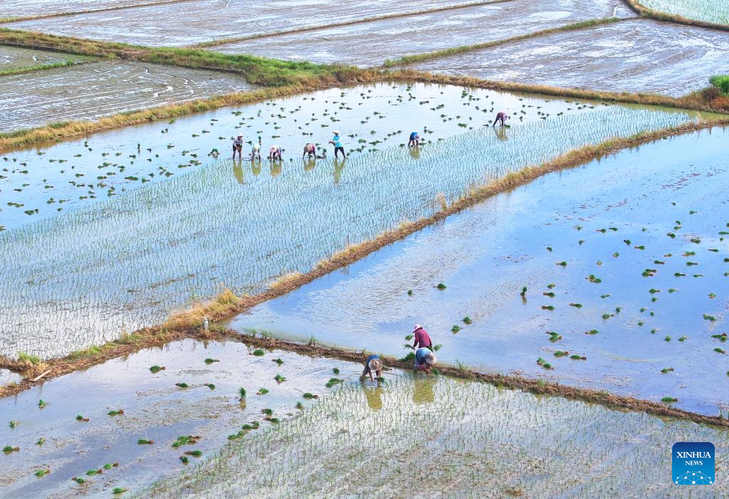 Farmers across China busy with agricultural production in farming season around Dashu