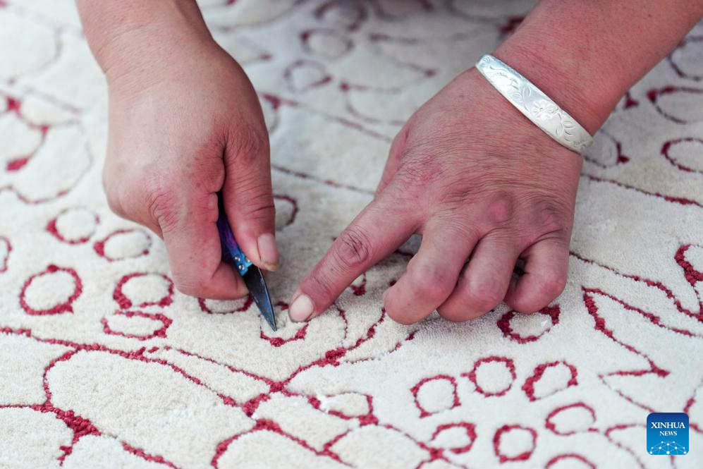 Traditional handicrafts of Tibetan carpet weaving inject momentum into rural revitalization in NW China