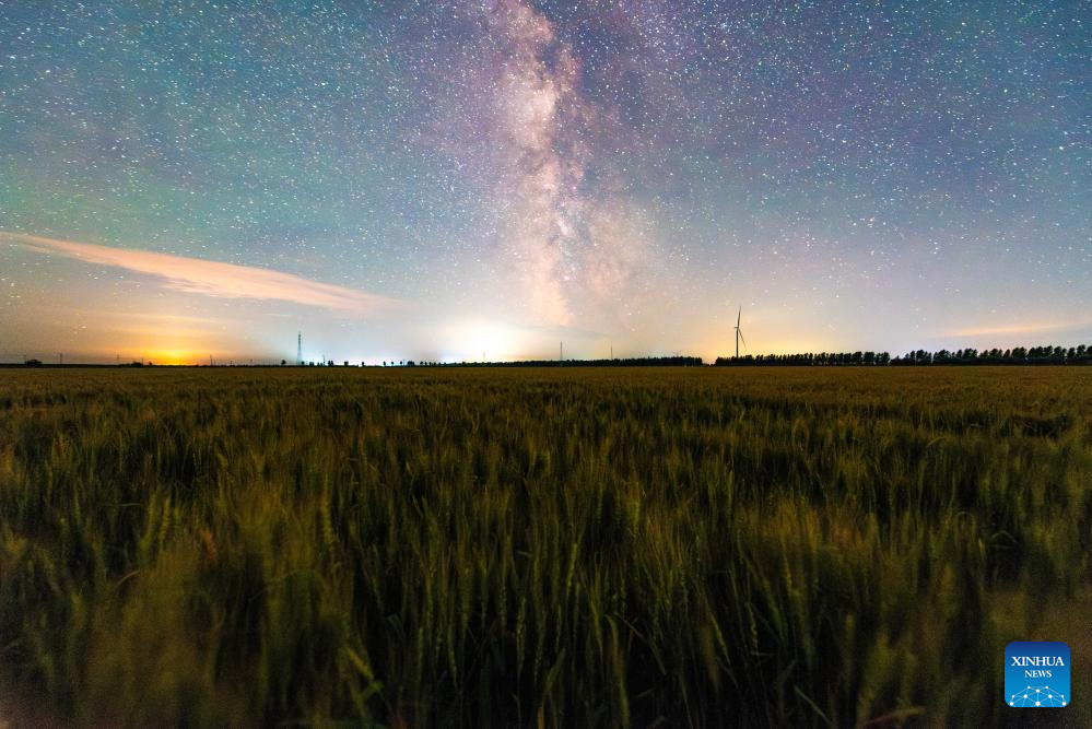 Milky Way spotted across sky in NE China's Heilongjiang