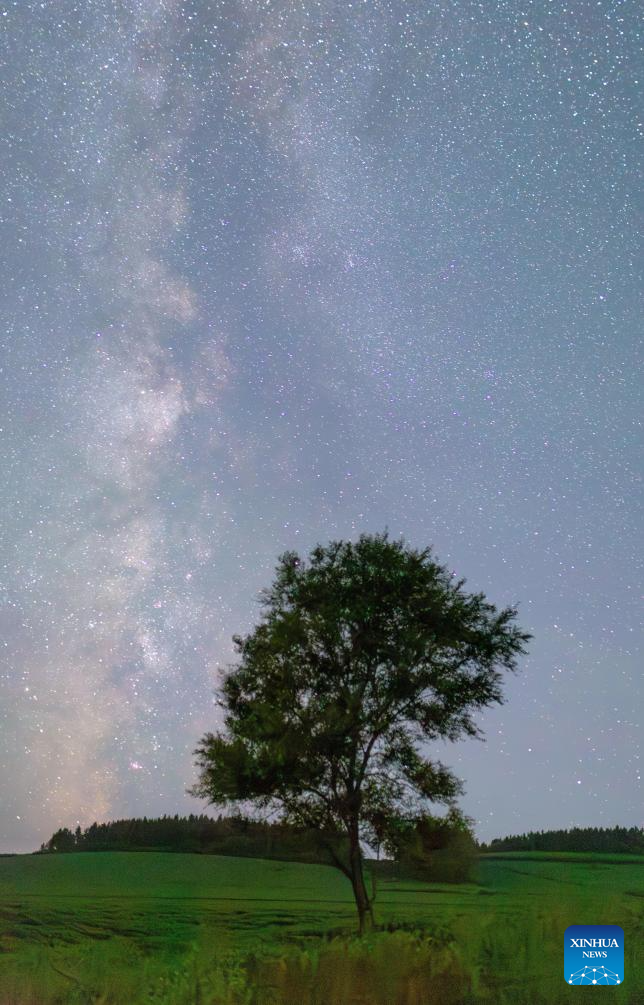 Milky Way spotted across sky in NE China's Heilongjiang