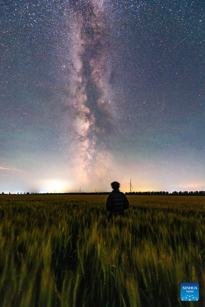 Milky Way spotted across sky in NE China's Heilongjiang