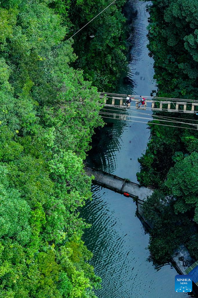 Unique Karst landscape in SW China's Guizhou attracts tourists