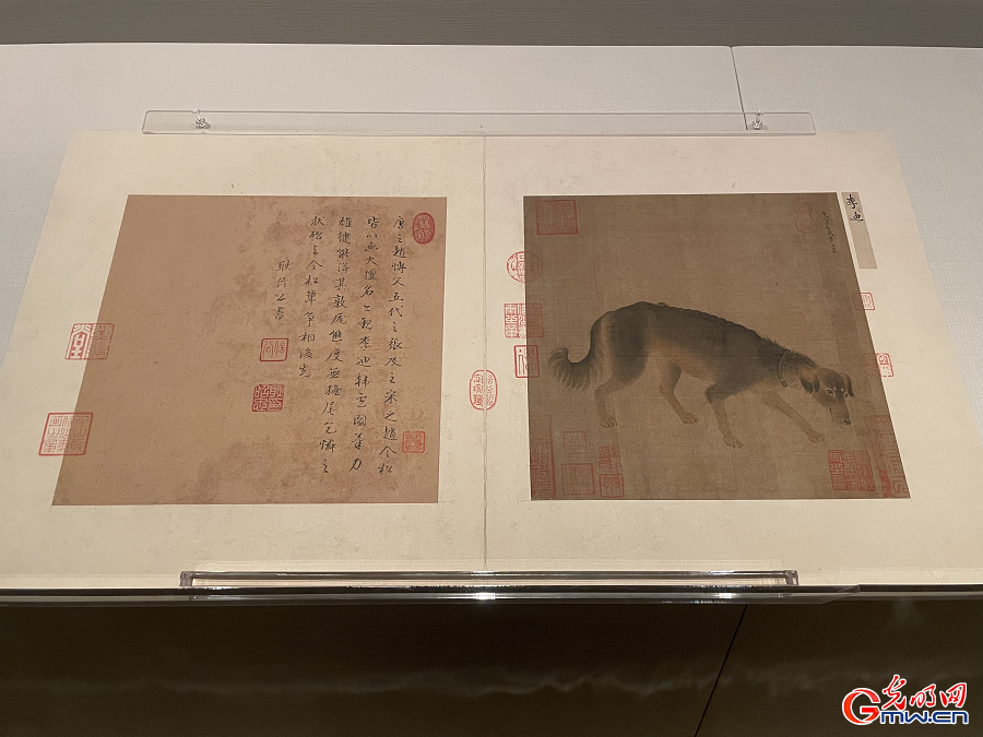 Animal-themed artworks on display at Palace Museum centennial show