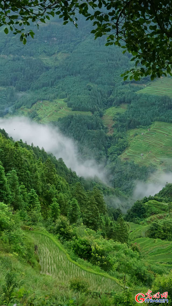 Jiabang terraces nurture sustainable 