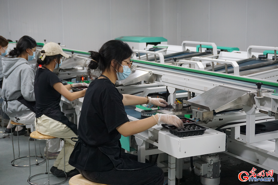 Bountiful waxberry harvest fuels prosperity in Xianju, Zhejiang