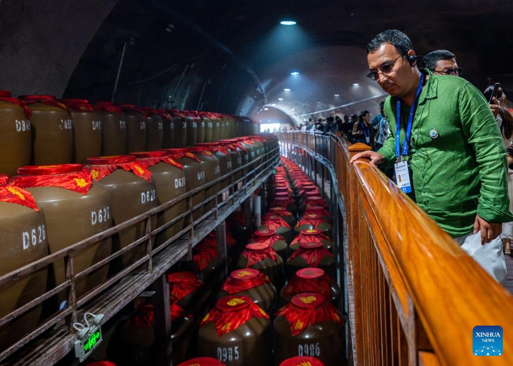 Participants of SCO Media and Think Tank Summit visit various locations in Henan