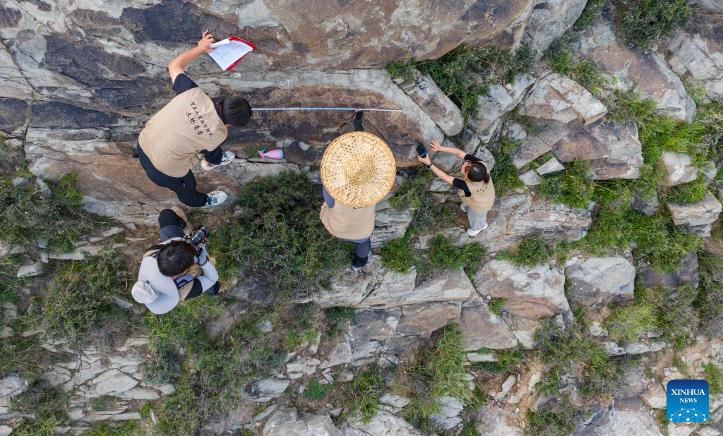 In pics: protection of cliff painting at Helan Mountain in Yinchuan