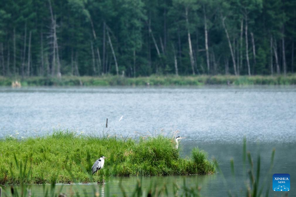 Scenery of Wusulangzi Lake in China's Inner Mongolia