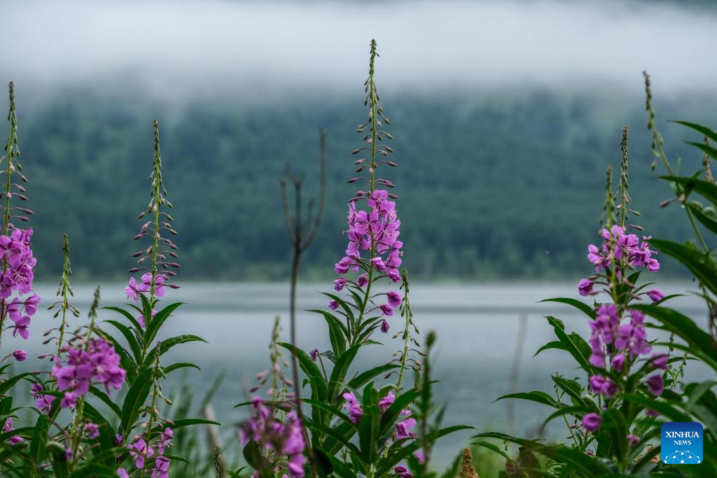 Scenery of Wusulangzi Lake in China's Inner Mongolia