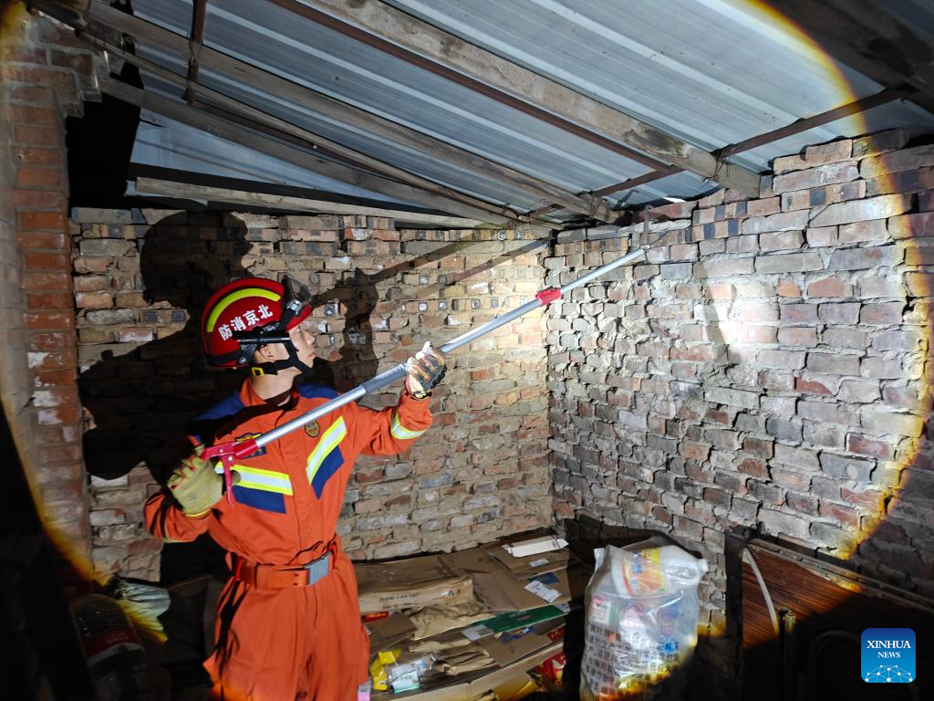 China Focus: Modern-day snake catchers reflect China's evolving human-nature ties