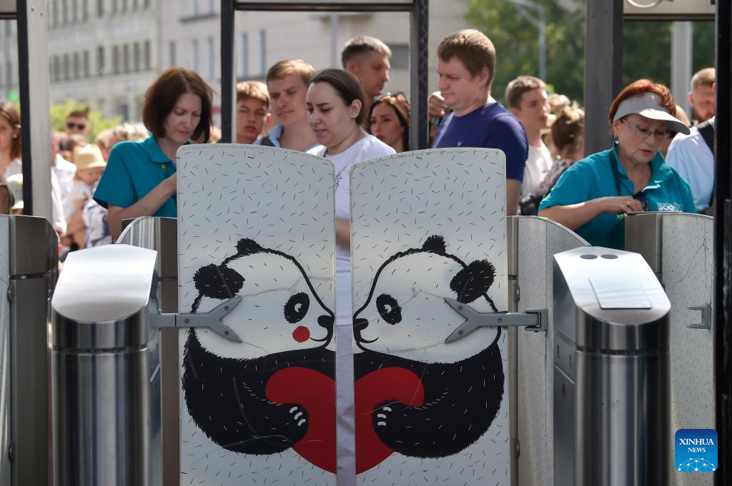 Giant panda Dingding's eighth birthday celebrated at Moscow Zoo