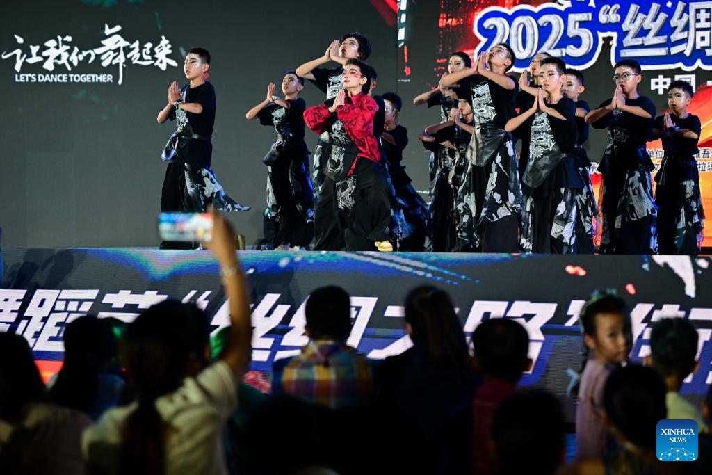 Street dance show held during Xinjiang Int'l Dance Festival
