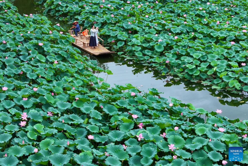 Summer scenery across China