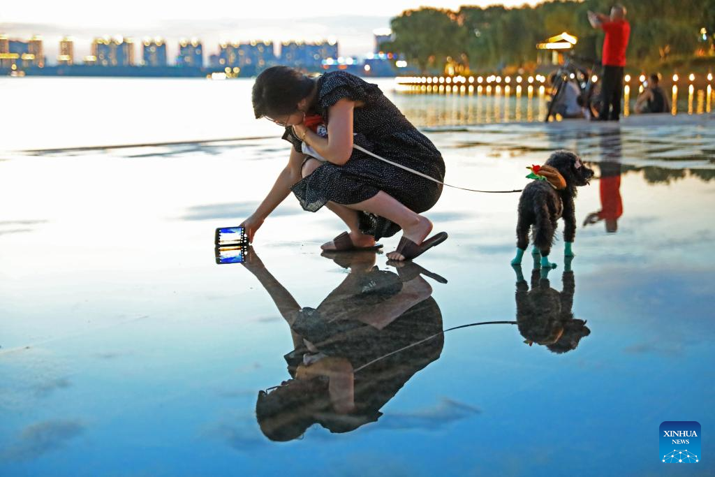 日进2亿美元？马斯克天价薪酬如何影响特斯拉？