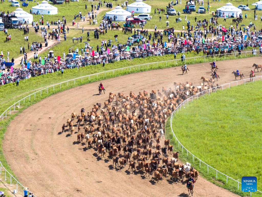 Nadam fair opens with equestrian shows in Inner Mongolia, N China