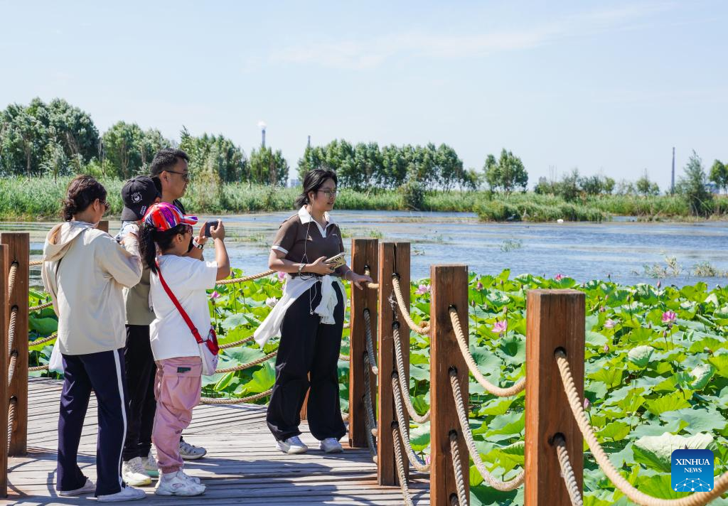 View of wetlands in China's Xinjiang