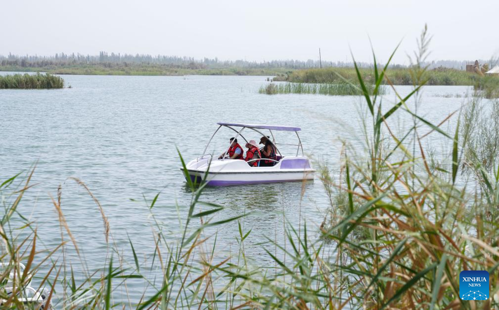 View of wetlands in China's Xinjiang