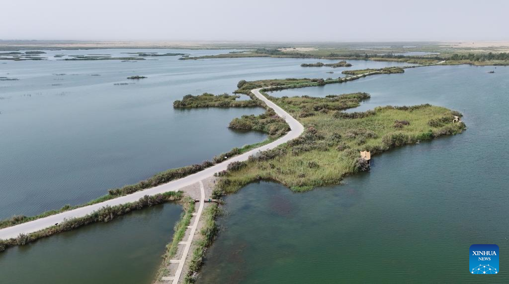 View of wetlands in China's Xinjiang