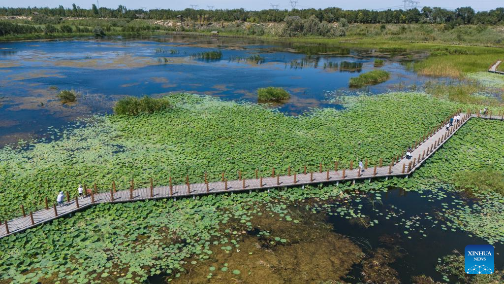 View of wetlands in China's Xinjiang