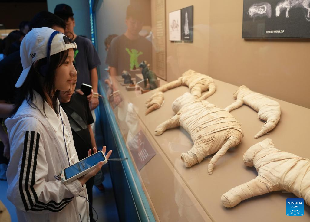 Exhibition on ancient Egyptian civilization opens at Shanghai Museum