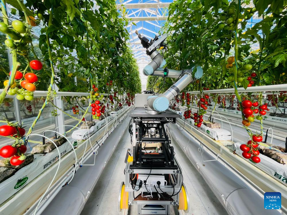 Chinese scientists develop world's first full-process intelligent breeding robot