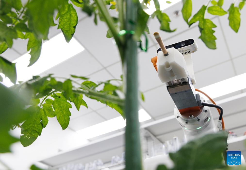 Chinese scientists develop world's first full-process intelligent breeding robot
