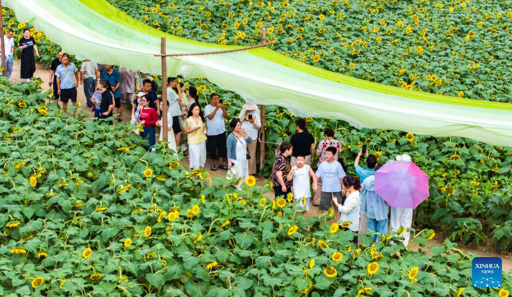 Summer travel in full swing across China