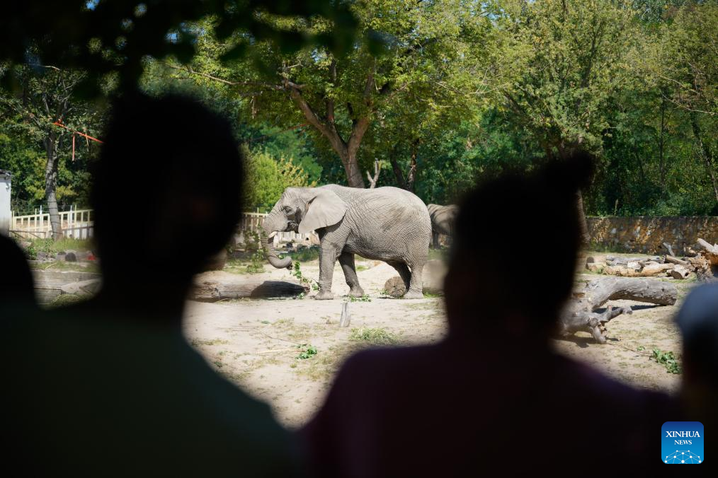 Warsaw Zoo in Poland holds special activities to mark World Elephant Day