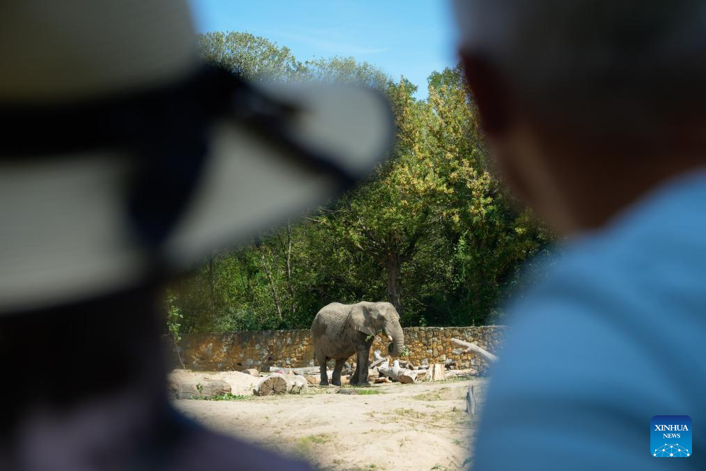 Warsaw Zoo in Poland holds special activities to mark World Elephant Day